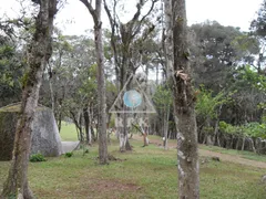 Fazenda / Sítio / Chácara com 4 Quartos à venda, 21945m² no Lagoinha, Tijucas do Sul - Foto 11
