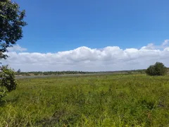 Terreno / Lote / Condomínio à venda, 25000m² no Lagoa do Uruau, Beberibe - Foto 5