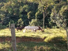 Fazenda / Sítio / Chácara com 5 Quartos à venda, 1920m² no Joaquim Egídio, Campinas - Foto 33