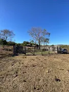 Fazenda / Sítio / Chácara com 3 Quartos à venda, 732000m² no Zona Rural, Jaraguá - Foto 48
