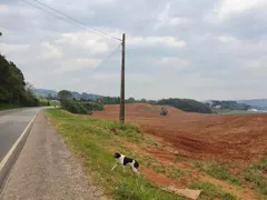 Terreno / Lote / Condomínio à venda, 32000m² no Centro, Campo Magro - Foto 7