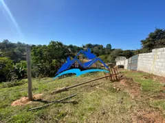 Fazenda / Sítio / Chácara com 3 Quartos à venda, 3000m² no Aluminio, Alumínio - Foto 14