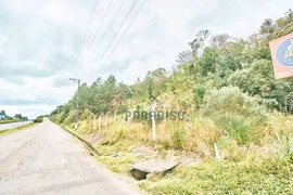 Terreno / Lote Comercial à venda, 291000m² no Campina, São José dos Pinhais - Foto 3