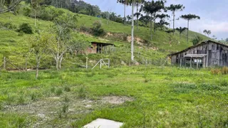 Fazenda / Sítio / Chácara com 3 Quartos à venda, 30000m² no Centro, Leoberto Leal - Foto 14