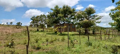 Fazenda / Sítio / Chácara com 4 Quartos à venda, 30000m² no Area Rural do Paranoa, Brasília - Foto 7