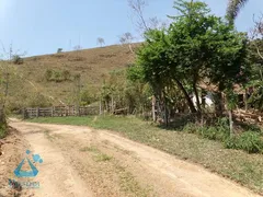 Fazenda / Sítio / Chácara com 2 Quartos à venda, 660000m² no Zona Rural, Santa Bárbara - Foto 5