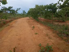 Fazenda / Sítio / Chácara à venda, 4210000m² no Goiaminas, Formoso - Foto 7