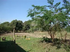 Terreno / Lote / Condomínio à venda, 100608m² no Queimados, Queimados - Foto 20