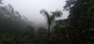 Fazenda / Sítio / Chácara com 4 Quartos à venda, 185000m² no Zona Rural, Marechal Floriano - Foto 26