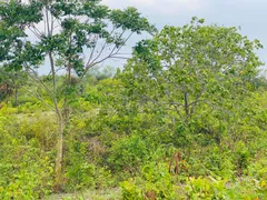 Fazenda / Sítio / Chácara com 4 Quartos à venda, 144000m² no Zona Rural, Faina - Foto 34