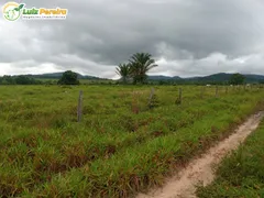 Fazenda / Sítio / Chácara à venda, 24200000m² no Zona Rural, Santana do Araguaia - Foto 7