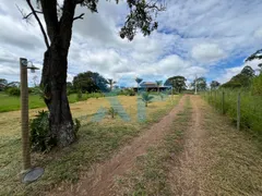 Fazenda / Sítio / Chácara com 3 Quartos à venda, 290m² no Zona Rural, São Sebastião do Oeste - Foto 4