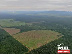 Fazenda / Sítio / Chácara à venda no Zona Rural, Santana do Araguaia - Foto 4