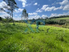 Fazenda / Sítio / Chácara com 2 Quartos à venda, 60m² no Zona Rural, São Sebastião do Oeste - Foto 31
