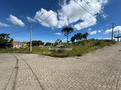 Terreno / Lote / Condomínio à venda, 2531m² no São Ciro, Caxias do Sul - Foto 1
