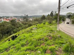 Terreno / Lote / Condomínio à venda, 786m² no Quinta dos Angicos, Cotia - Foto 8