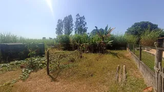 Fazenda / Sítio / Chácara com 3 Quartos à venda, 24200m² no Vale Santa Felicidade, São Carlos - Foto 30