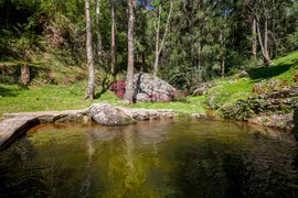 Fazenda / Sítio / Chácara com 3 Quartos à venda, 68000m² no Mury, Nova Friburgo - Foto 10