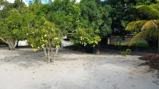 Fazenda / Sítio / Chácara com 3 Quartos à venda, 2500m² no Lagoa do Bonfim, Nísia Floresta - Foto 23