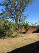 Fazenda / Sítio / Chácara com 7 Quartos à venda, 10000m² no Finco, São Bernardo do Campo - Foto 9