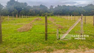 Fazenda / Sítio / Chácara com 40 Quartos à venda, 1000m² no Tataúba, Caçapava - Foto 3