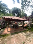 Fazenda / Sítio / Chácara com 4 Quartos à venda, 6200m² no Santa Terezinha de Minas, Itatiaiuçu - Foto 11