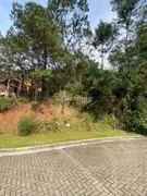 Terreno / Lote / Condomínio à venda, 503m² no Pórtico, Gramado - Foto 4