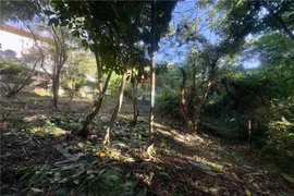 Terreno / Lote / Condomínio à venda, 889m² no Siriuba, Ilhabela - Foto 6