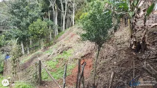 Terreno / Lote / Condomínio à venda, 360m² no Pântano do Sul, Florianópolis - Foto 4