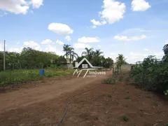 Fazenda / Sítio / Chácara com 3 Quartos à venda, 200m² no Chácara Cruzeiro do Sul, Sumaré - Foto 3