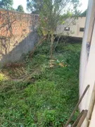 Terreno / Lote / Condomínio à venda, 250m² no Itapira, Quatro Barras - Foto 4