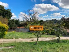 Fazenda / Sítio / Chácara com 4 Quartos à venda, 100m² no Jardim Chácara Mea, Suzano - Foto 7