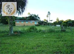 Fazenda / Sítio / Chácara com 3 Quartos à venda, 690m² no Lomba do Pinheiro, Viamão - Foto 10