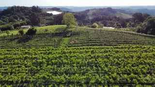 Fazenda / Sítio / Chácara à venda, 24000m² no Zona Rural, Monte Belo do Sul - Foto 4