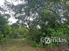 Fazenda / Sítio / Chácara com 10 Quartos à venda, 838m² no Zona Rural, Conceição do Tocantins - Foto 4