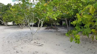 Fazenda / Sítio / Chácara com 3 Quartos à venda, 2500m² no Lagoa do Bonfim, Nísia Floresta - Foto 16