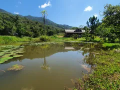 Fazenda / Sítio / Chácara com 5 Quartos à venda, 400000m² no Centro, Tijucas - Foto 32