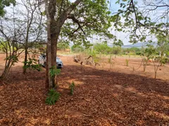 Fazenda / Sítio / Chácara com 3 Quartos à venda, 1312m² no Zona Rural, Indiara - Foto 4