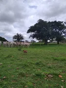 Fazenda / Sítio / Chácara à venda no Zona Rural, Sanclerlândia - Foto 2