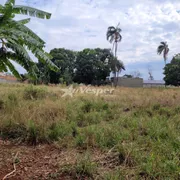 Fazenda / Sítio / Chácara com 1 Quarto à venda, 6025m² no Chácaras de Recreio São Joaquim, Goiânia - Foto 8