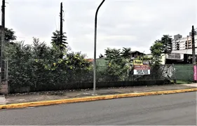 Terreno / Lote / Condomínio à venda no Anita Garibaldi, Joinville - Foto 1