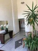 Apartamento com 3 Quartos à venda, 92m² no Jardim Aurélia, Campinas - Foto 3