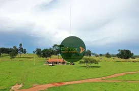 Fazenda / Sítio / Chácara à venda, 60000000m² no Centro, Guiratinga - Foto 3