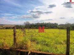 Terreno / Lote / Condomínio à venda, 20000m² no , Porto Feliz - Foto 14