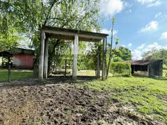 Fazenda / Sítio / Chácara com 3 Quartos à venda, 34656m² no Papucaia, Cachoeiras de Macacu - Foto 32