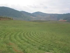 Fazenda / Sítio / Chácara com 4 Quartos à venda, 5000m² no Zona Rural, Serra Negra - Foto 5