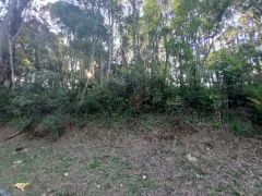 Terreno / Lote / Condomínio à venda, 3008m² no Centro, Gramado - Foto 9