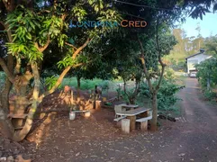 Fazenda / Sítio / Chácara com 2 Quartos à venda, 1500m² no Zona Rural, Jataizinho - Foto 19