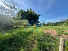 Fazenda / Sítio / Chácara com 3 Quartos à venda, 230m² no Zona Rural, São Sebastião do Oeste - Foto 64