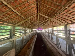 Fazenda / Sítio / Chácara com 3 Quartos à venda, 60m² no Zona Rural, Lavrinhas - Foto 10